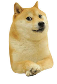 Kabosu profile picture